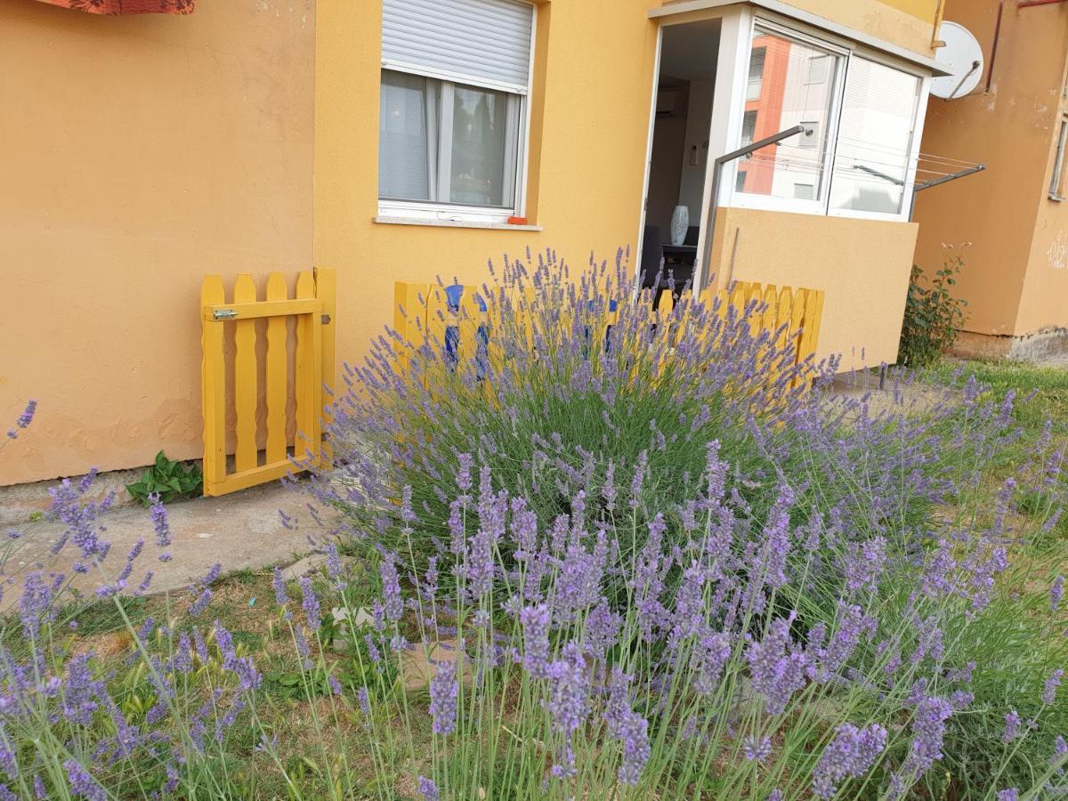 Lav Lejlighed Rovinj Eksteriør billede